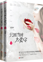 只因当时太爱你——出版在线阅读