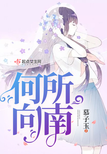 何所向南