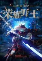 王者荣耀之荣耀野王在线阅读