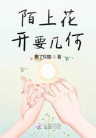 陌上花開要幾何在線閱讀