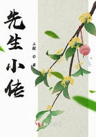 先生小傳在線閱讀