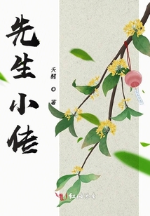 先生小傳