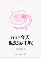 npc今天也想罢工呢