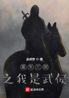 重生三国之我是武侯在线阅读