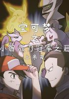 宝可梦之小智成为冠军之后
