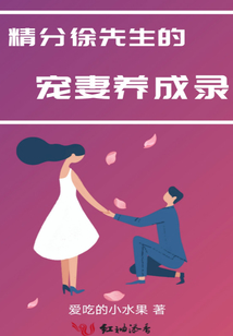 精分徐先生的宠妻养成录