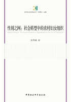 性别之网：社会转型中的农村妇女组织在线阅读