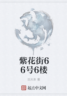 紫花街66號(hào)6樓