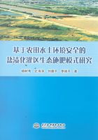 基于农田水土环境安全的盐渍化灌区生态施肥模式研究