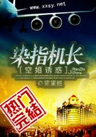 三万英尺的爱恋
