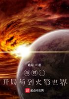 海贼:开局苟到火影世界