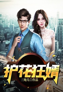 護花狂婿