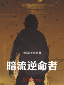 暗流逆命者