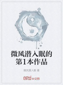微风潜入眠的第1本作品