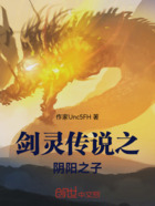 剑灵传说之阴阳之子在线阅读