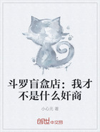 斗罗盲盒店:我才不是什么奸商在线阅读