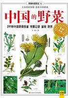 中国的野菜