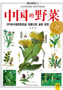 中國的野菜