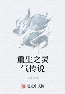 重生之靈氣傳說
