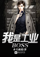 我是工业BOSS