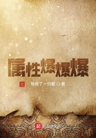 屬性爆爆爆在線閱讀