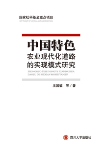 中国特色农业现代化道路的实现模式研究