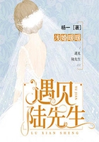 浅婚暖暖:遇见,陆先生