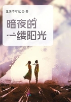 暗夜的一縷陽(yáng)光在線閱讀
