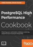 PostgreSQL High Performance Cookbook在线阅读