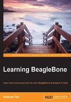 Learning BeagleBone