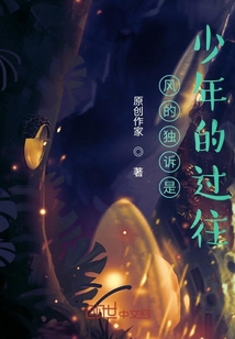 風的獨訴是少年的過往