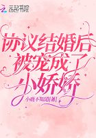 协议结婚后被宠成了小娇娇在线阅读