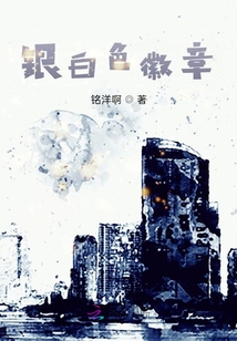 銀白色徽章