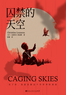 囚禁的天空