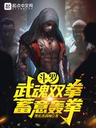 斗罗：武魂双拳，蓄意轰拳