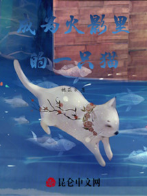 成為火影里的一只貓