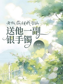 老板偷稅我背鍋，送他一副銀手鐲