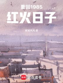 重回1985：红火日子在线阅读