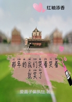 那年的我們哭著哭著就笑了在線閱讀