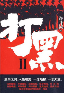 打黑2