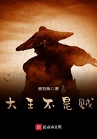 大王不是賊在線閱讀