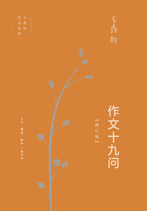作文十九問
