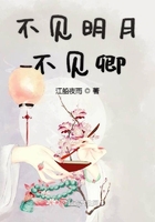 不見(jiàn)明月不見(jiàn)卿在線閱讀