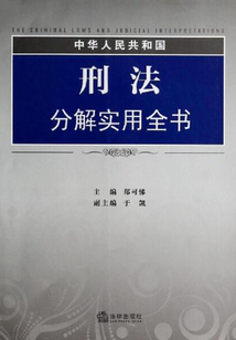 中華人民共和國(guó)刑法分解實(shí)用全書(shū)