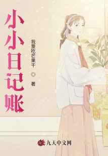 小小日記賬