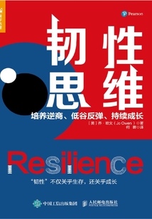 韌性思維：培養(yǎng)逆商、低谷反彈、持續(xù)成長