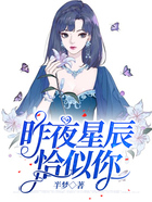 昨夜星辰恰似你在線閱讀