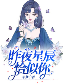 昨夜星辰恰似你