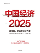 中国经济2025：稳预期、促消费与扩内需在线阅读