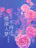 情深入梦不再还在线阅读